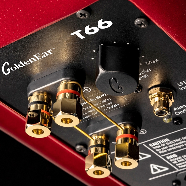 GoldenEar T66