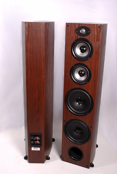 Polk Audio TSx550T