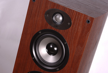 Polk Audio TSx550T