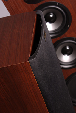 Polk Audio TSx550T