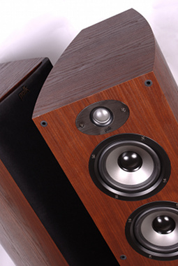 Polk Audio TSx550T