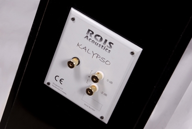 Rois Acoustics Kalypso Passive