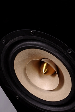 Rois Acoustics Kalypso Passive